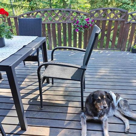Cozy Forest Retreat In Kuopio - Perfect For Families Work Trips Екстер'єр фото