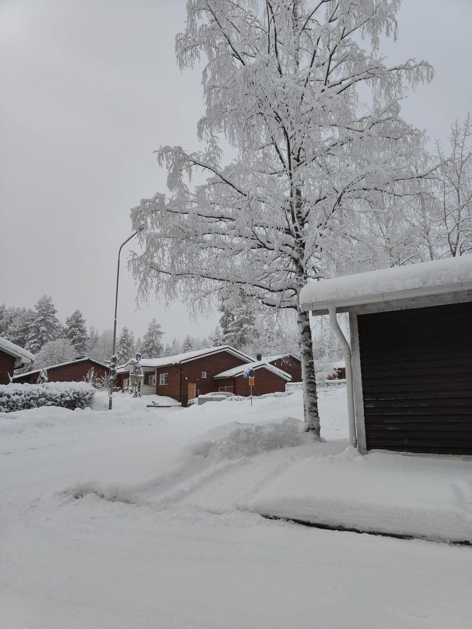 Cozy Forest Retreat In Kuopio - Perfect For Families Work Trips Екстер'єр фото